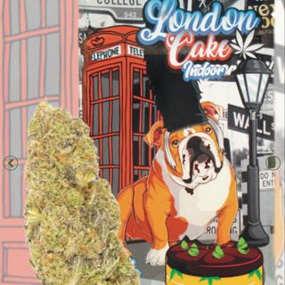 London Cake INDOOR 2G