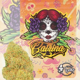 Catrina INDOOR 1G