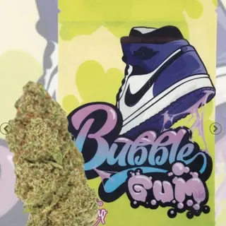 BubbleGum INDOOR 5G