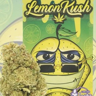 Lemon Kush INDOOR 5G 