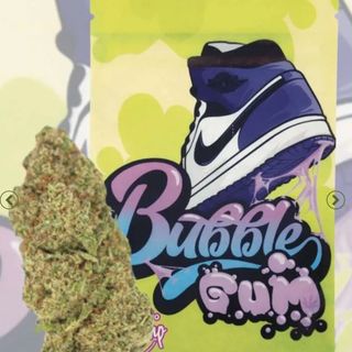 BubbleGum INDOOR 10G