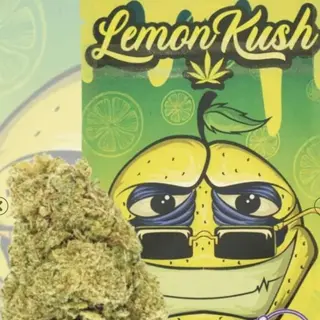 Lemon Kush INDOOR 2G
