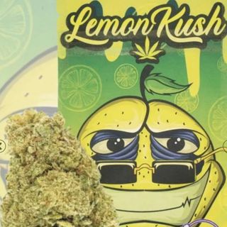 Lemon Kush INDOOR 2G