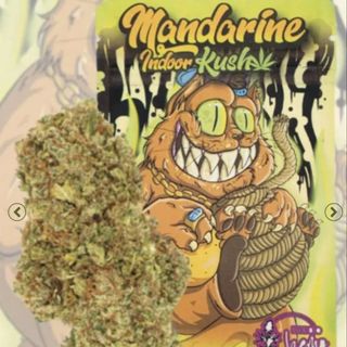 Mandarine Kush INDOOR 5G