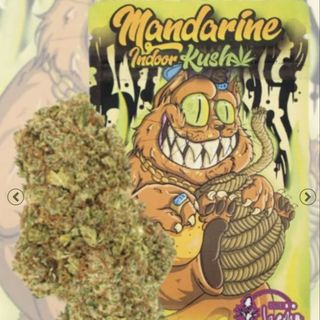 Mandarine Kush INDOOR 2G