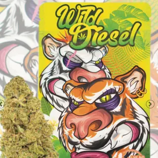 Blueberry GH 1G