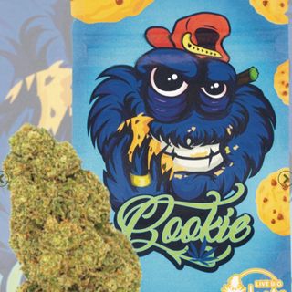 Cookie GH 2G