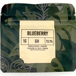 Blueberry GH 10G