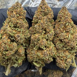 GRAPE GASOLINE HIGH 5G