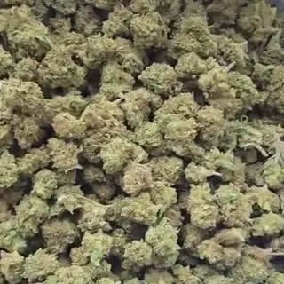 Bubba Bob GH 5G