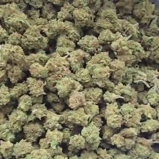 The Kusher 5G SAMURAI