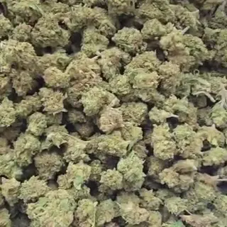 KUSH 10G SAMURAI