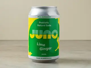 Soda Lemon & Ginger