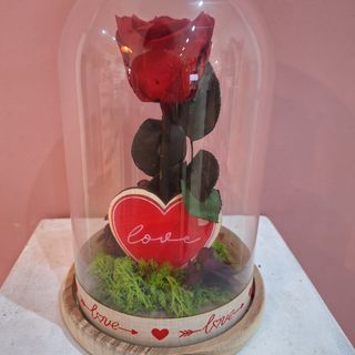 Cúpula mediana con rosa eterna roja