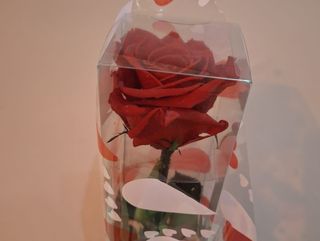 Rosa preservada grande en caja
