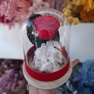 Cúpula Rosa Eterna Roja