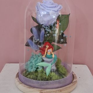 Cúpula Rosa Eterna Ariel