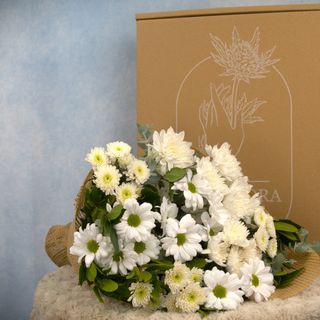 Ramo Coleccion Blanca En Caja