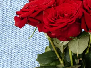 3 ROSAS ROJAS