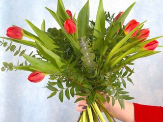 Ramo tulipanes Rojos