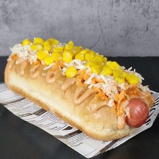 Colombian street dog