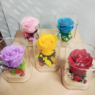 Rosa eterna pequeña
