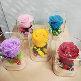 Rosa eterna pequeña