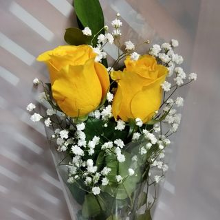 2 Rosas Amarillas