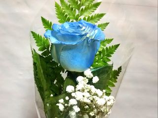 Rosa Azul
