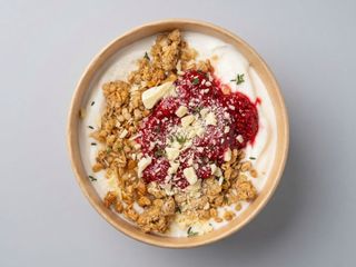 Greek Yogurt Bowl