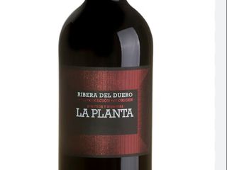 La Planta D.O Ribera del Duero