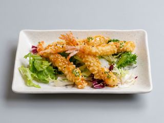 Ebi Frye (5 Uds)