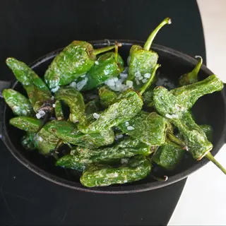 Pimiento Padronum