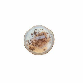 Cheese Pudding Esprcial