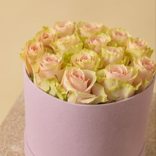 Baby pink roses box