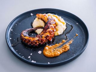 Rejo De Pulpo
