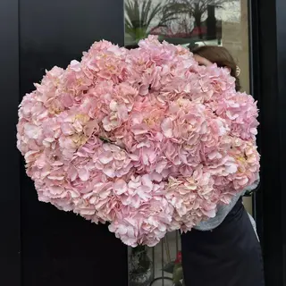 Flor encantada