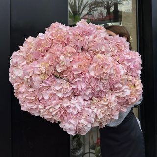 Ramo de hortensia rosas