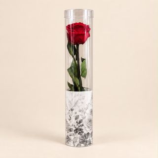 Una rosa 30cm ( roja ) preservada