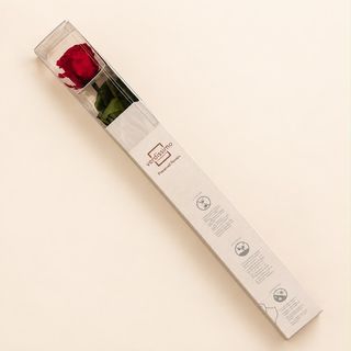 Una rosa 60cm ( roja ) preservada