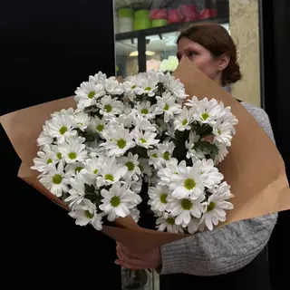 Aroma del aba ( 7 crisantemos )
