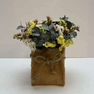 Bolsita Statice Cálida