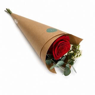 Rosa Roja Arreglada