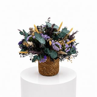 Cesta Uva