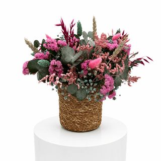 Cesta Pitahaya