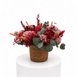 Cesta Ciruela