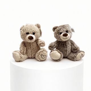 Oso de Peluche Sorpresa