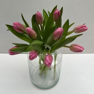 Tulipanes (Color Sorpresa)
