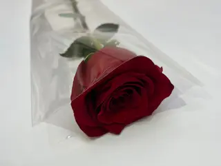Rosa Roja