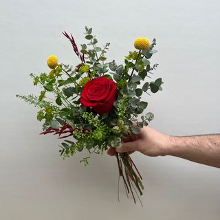 Rosa Premium Sant Jordi